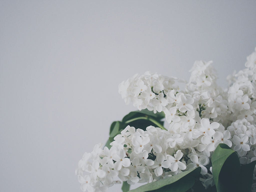 white flowers